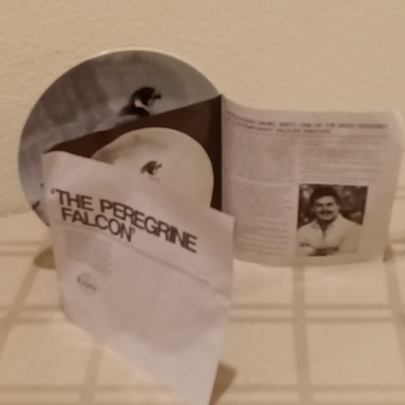 Collector Plate - Picture 10 of 10